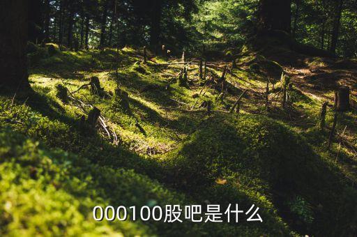 數字中國股票股吧，數字中國建設概念股票有哪些...